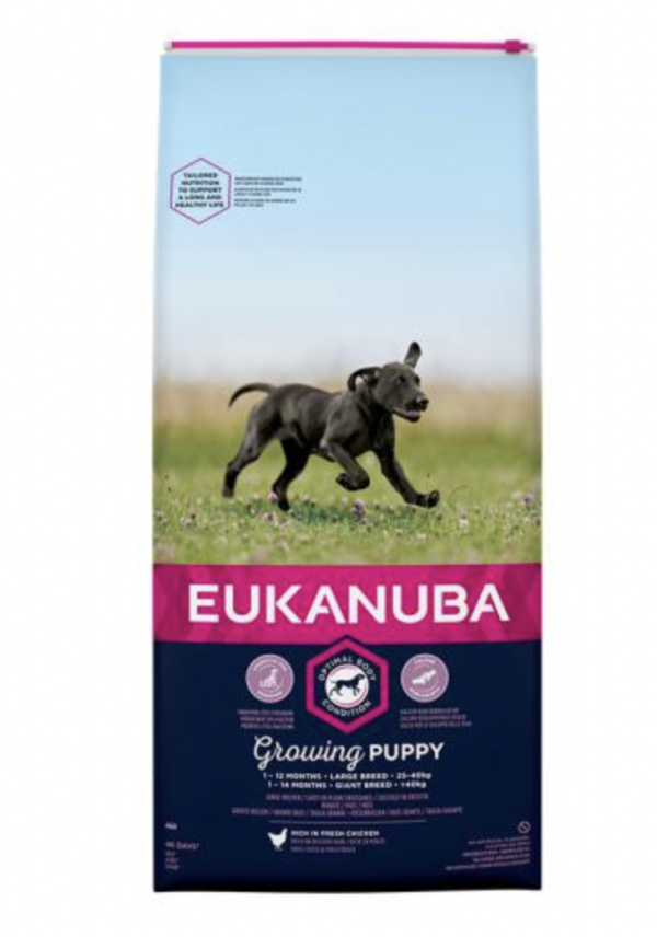 Eukanuba Puppy Large 15kg