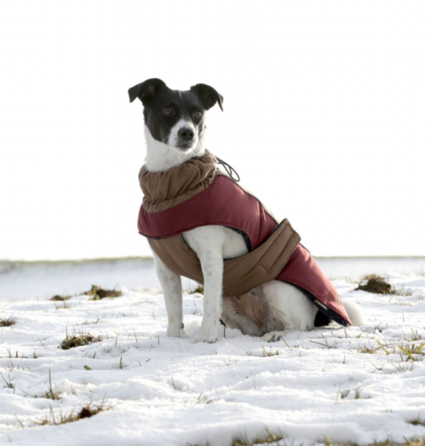 Kerbl Royal Pets Kutyaruha M Méretben