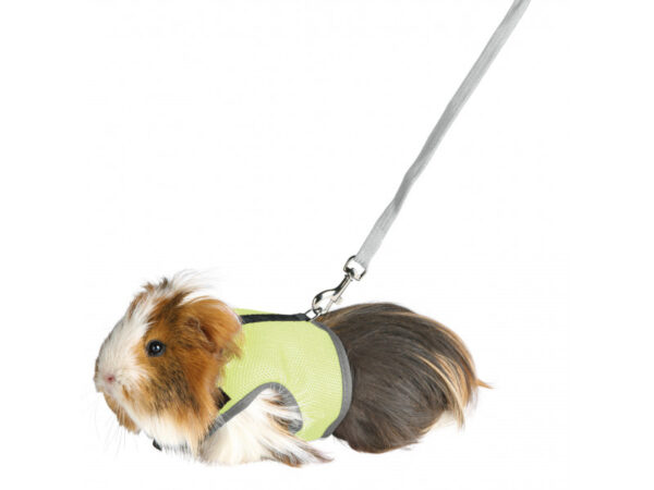 Trixie Hám Pórázzal Nylon Rágcsálóknak Strapabíró 18–25cm 1.20m