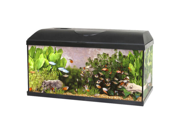 Akvárium Szett+Szűrő+Fűtő Pacific Eco Light 54l, 60x30x30cm +INGYENES SZÁLLÍTÁS!