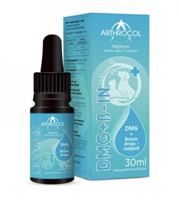 Arthrocol DMG + ß-in 30ml