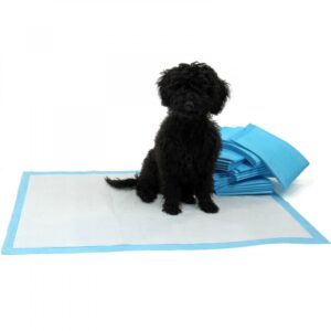 Dog Vital helyhez szoktató pelenka 60x60cm 20+4db/csomag